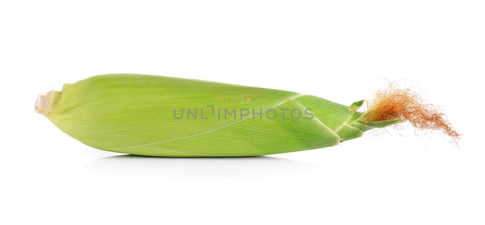 fresh corn on white background by sommai