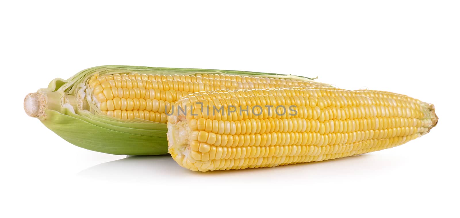 fresh corn on white background by sommai