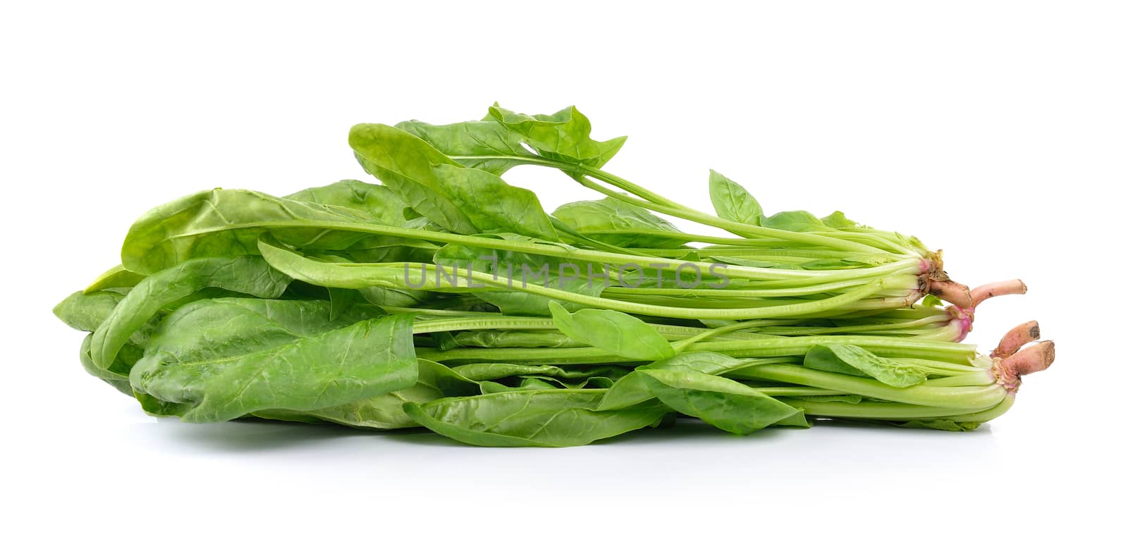 spinach on white background