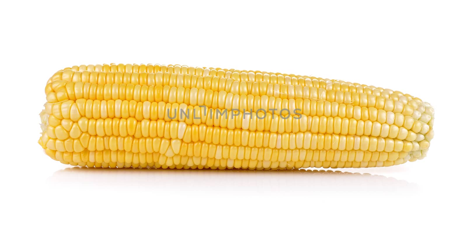 fresh corn on white background by sommai