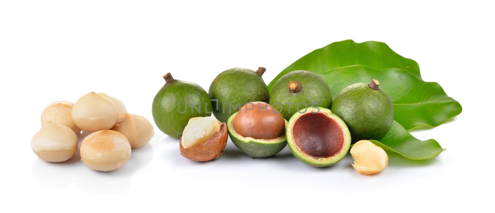 fresh macadamia nut on a white background by sommai