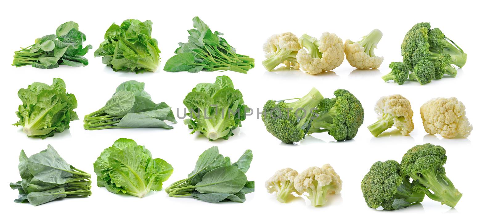 chinese broccoli , cos, Broccoli and fresh cauliflower isolated on white background