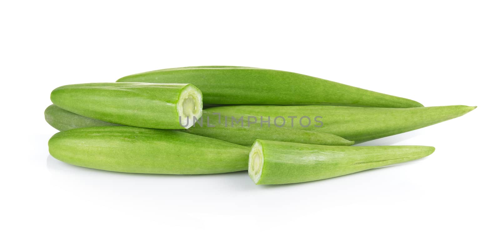 Cowslip creeper on white background