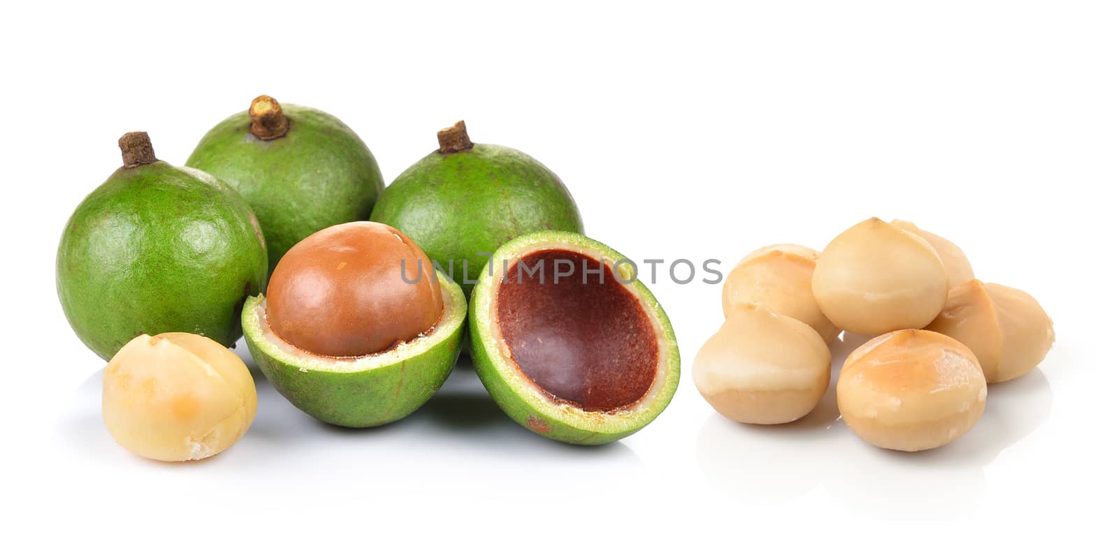 fresh macadamia nut on a white background by sommai