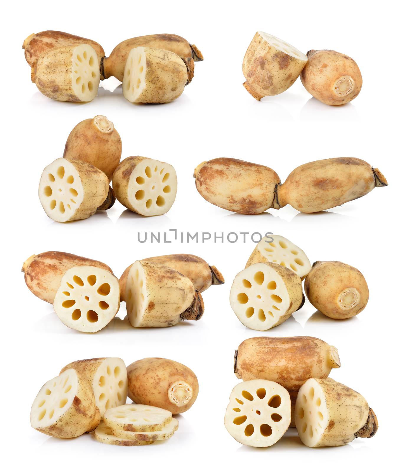 Lotus root on white background by sommai