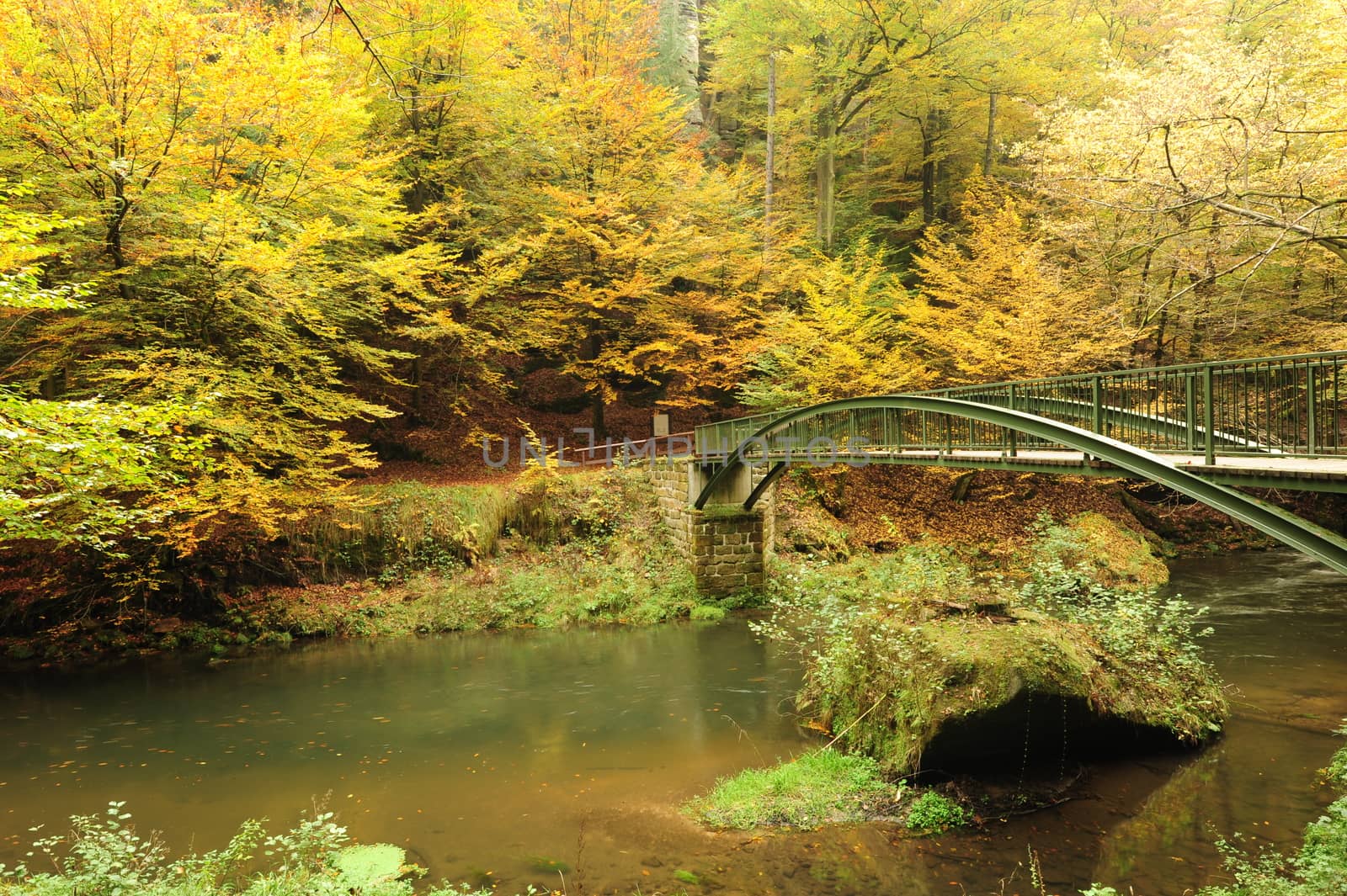 Autumn colored trees, leaves, rocks around the beautiful river