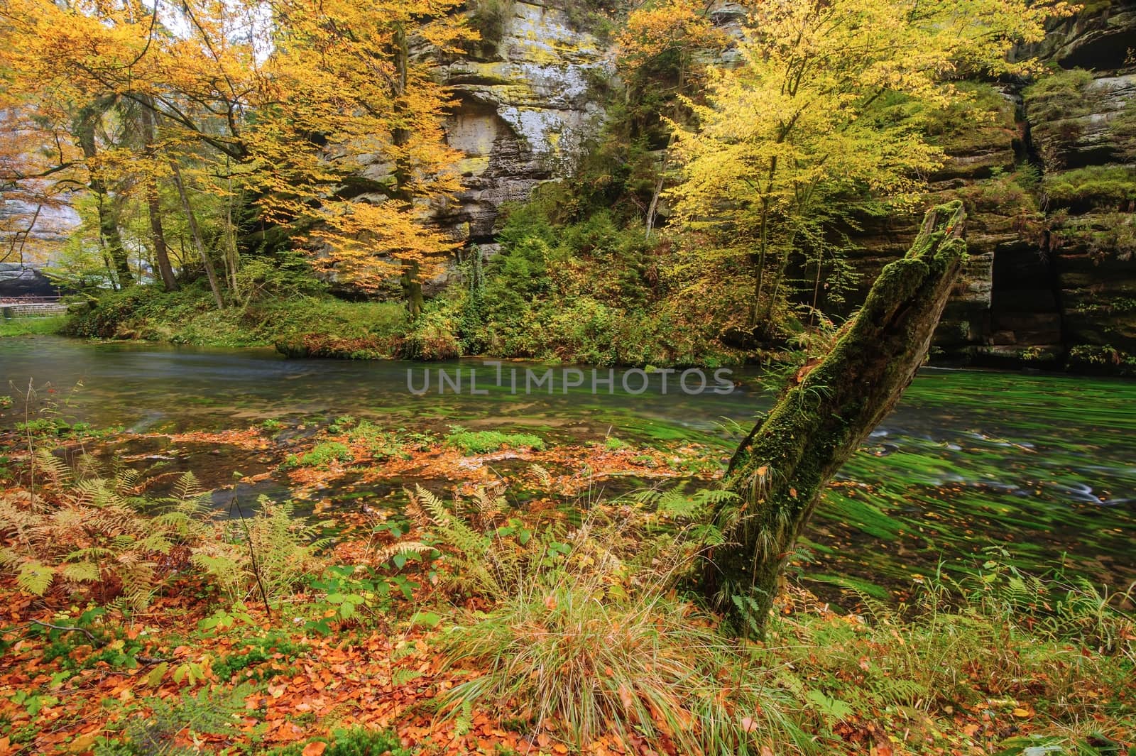 Autumn colored trees, leaves, rocks around the beautiful river