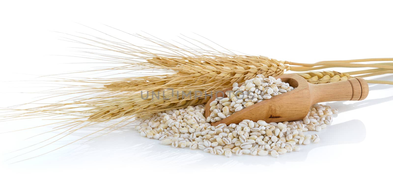 Barley Grains tn the scoop Isolated on White Background by sommai