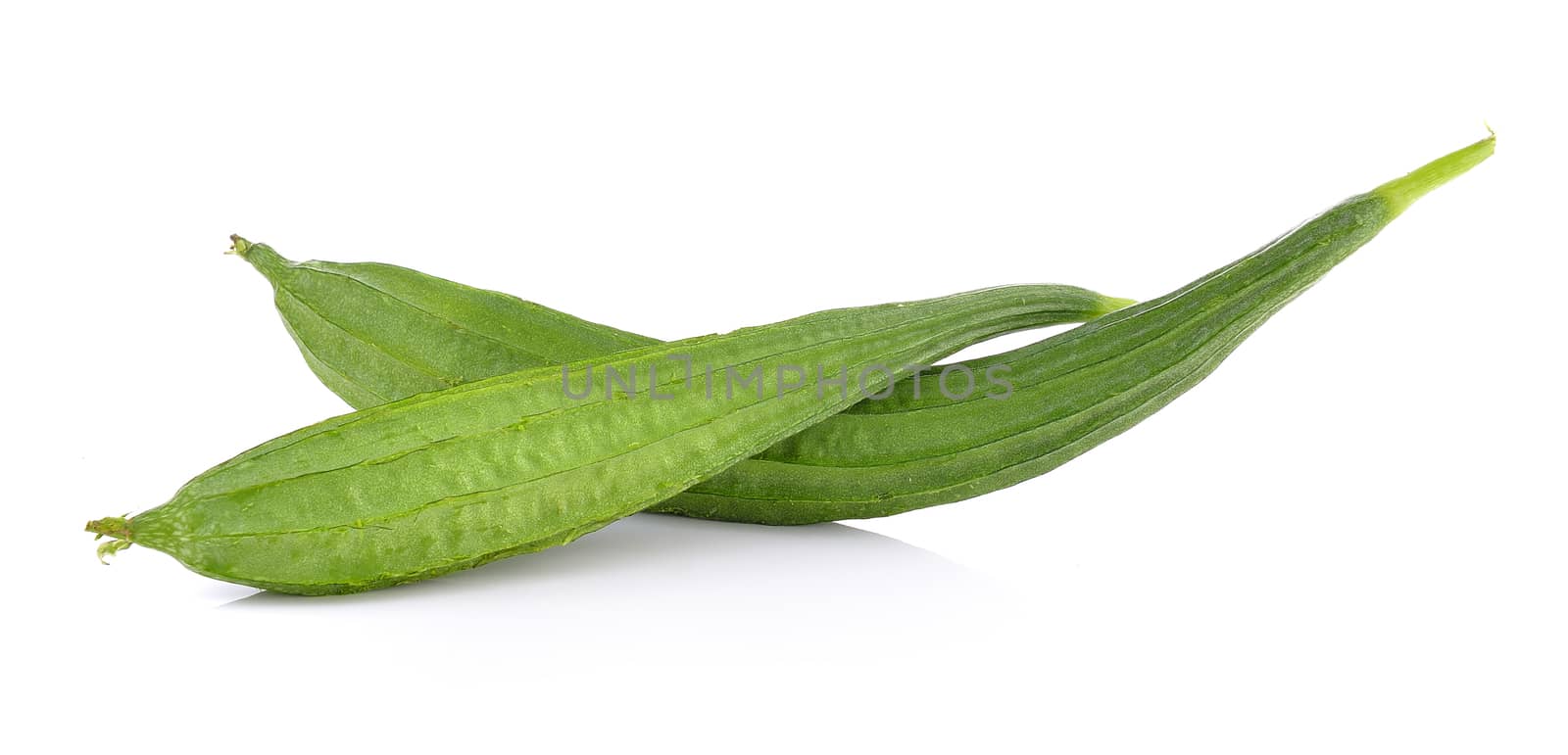 Fresh Angled luffa fruit on white background by sommai