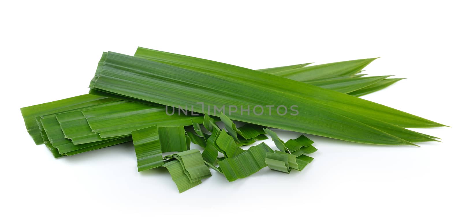 pandan leaf on white background