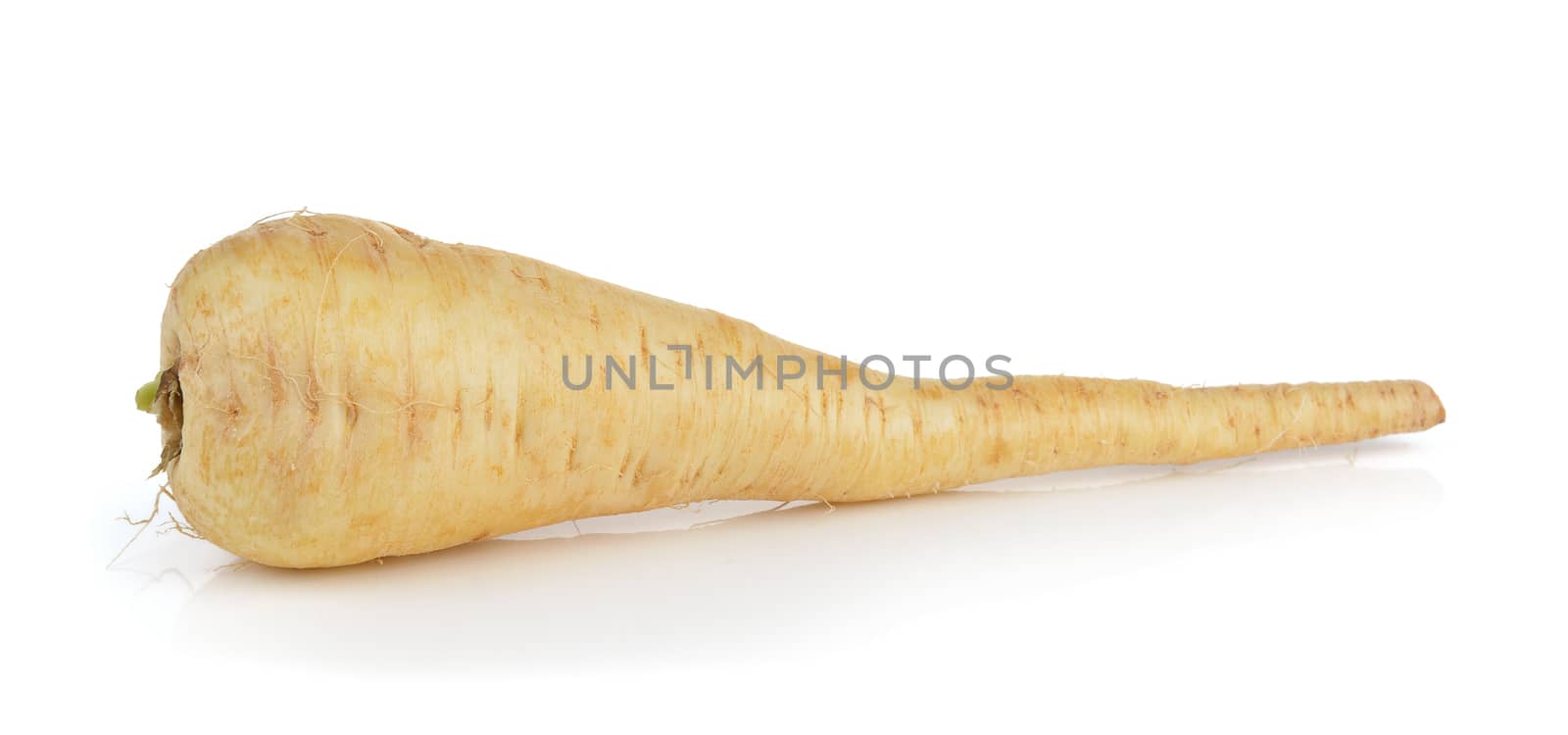  fresh parsnip roots on a white background