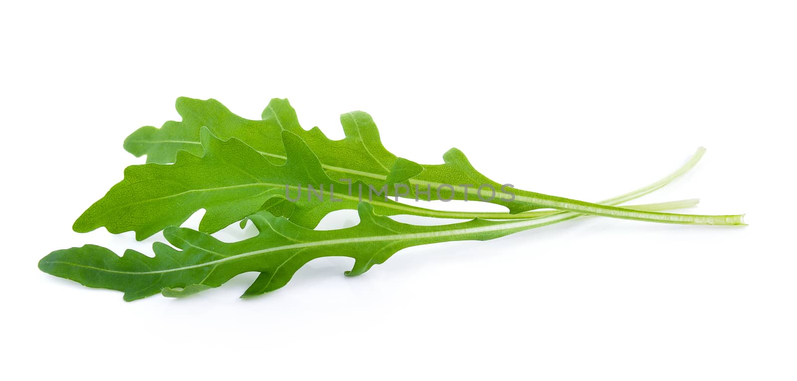 Sweet rucola salad or rocket lettuce leaves isolated on white ba by sommai