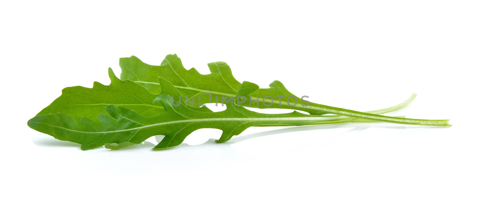 Sweet rucola salad or rocket lettuce leaves isolated on white background