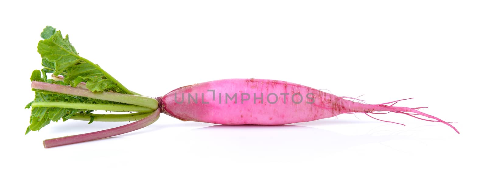 Fresh radishes isolated on white background by sommai