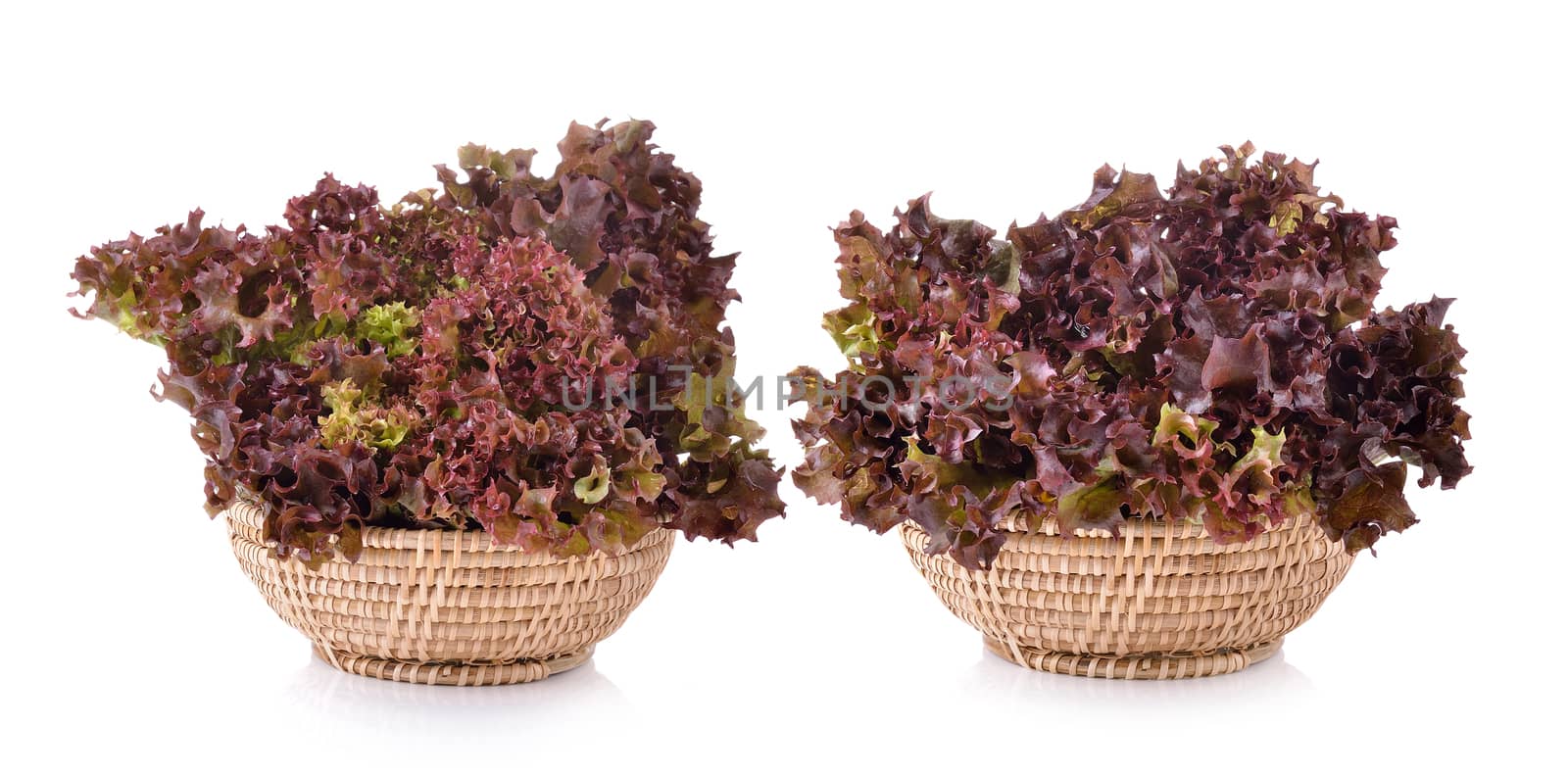 Fresh red lettuce in the basket isolated on a white background