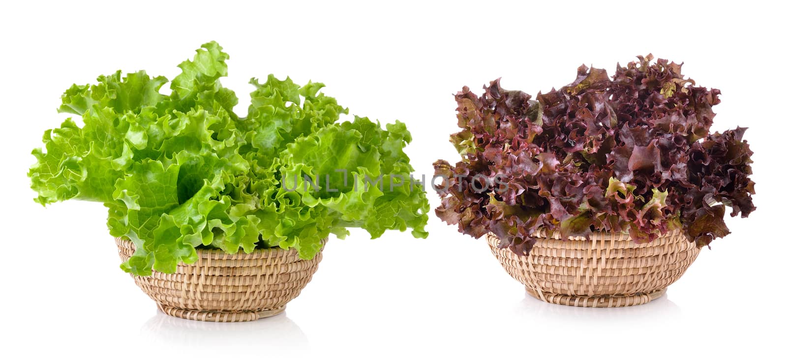 Fresh red lettuce in the basket isolated on a white background by sommai