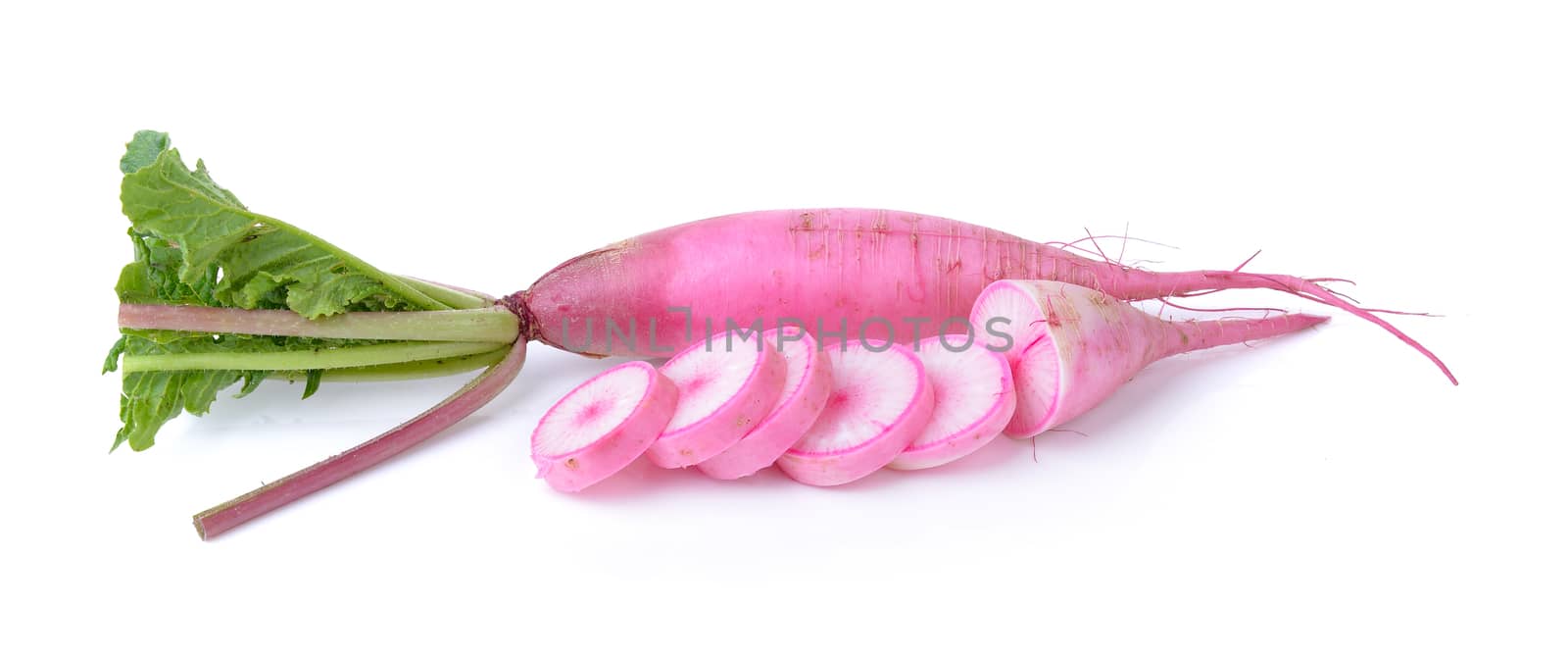  radishes isolated on white background by sommai