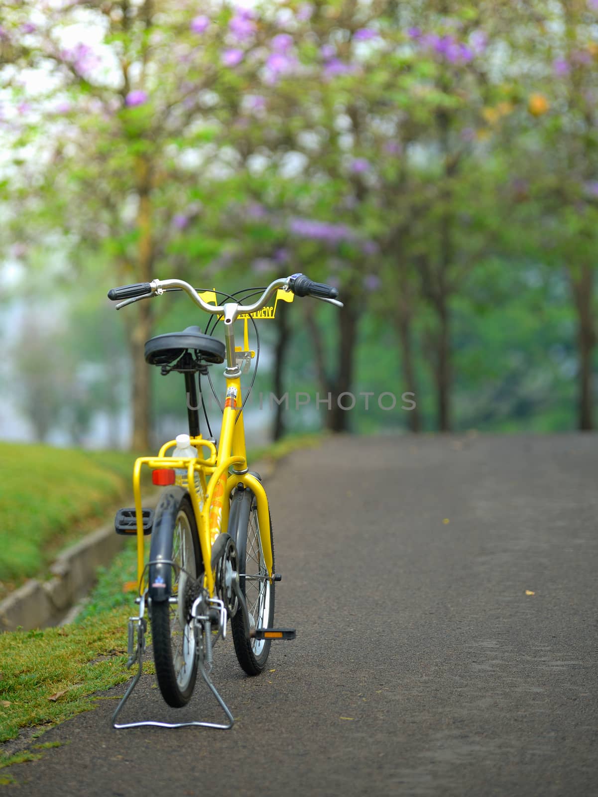  bicycle in the garden road  by sommai