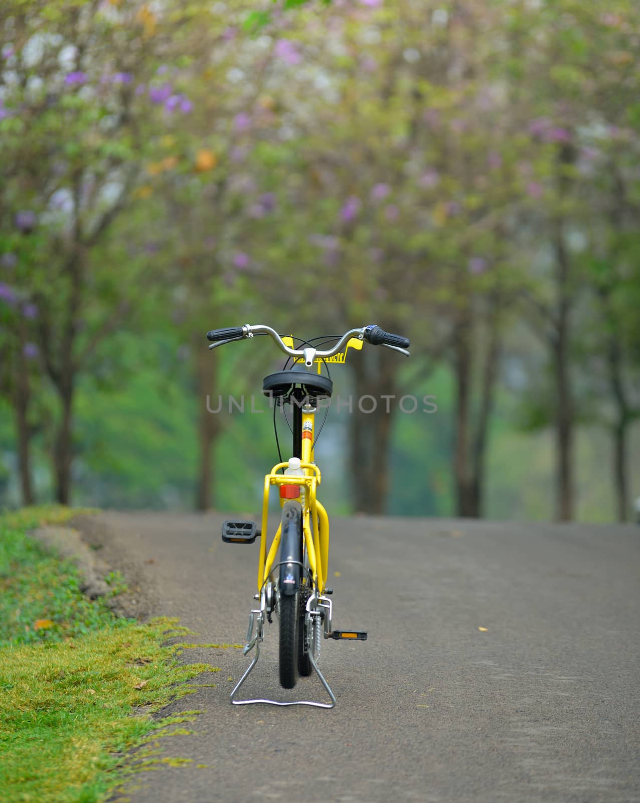  bicycle in the garden road  by sommai