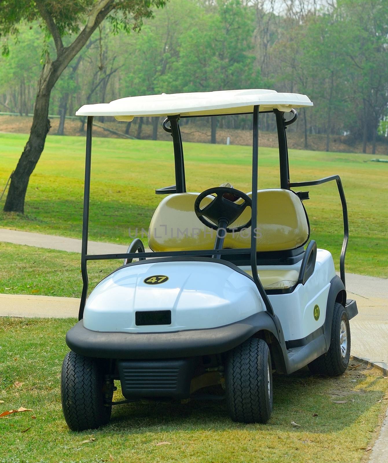 Golf carts on a golf course
