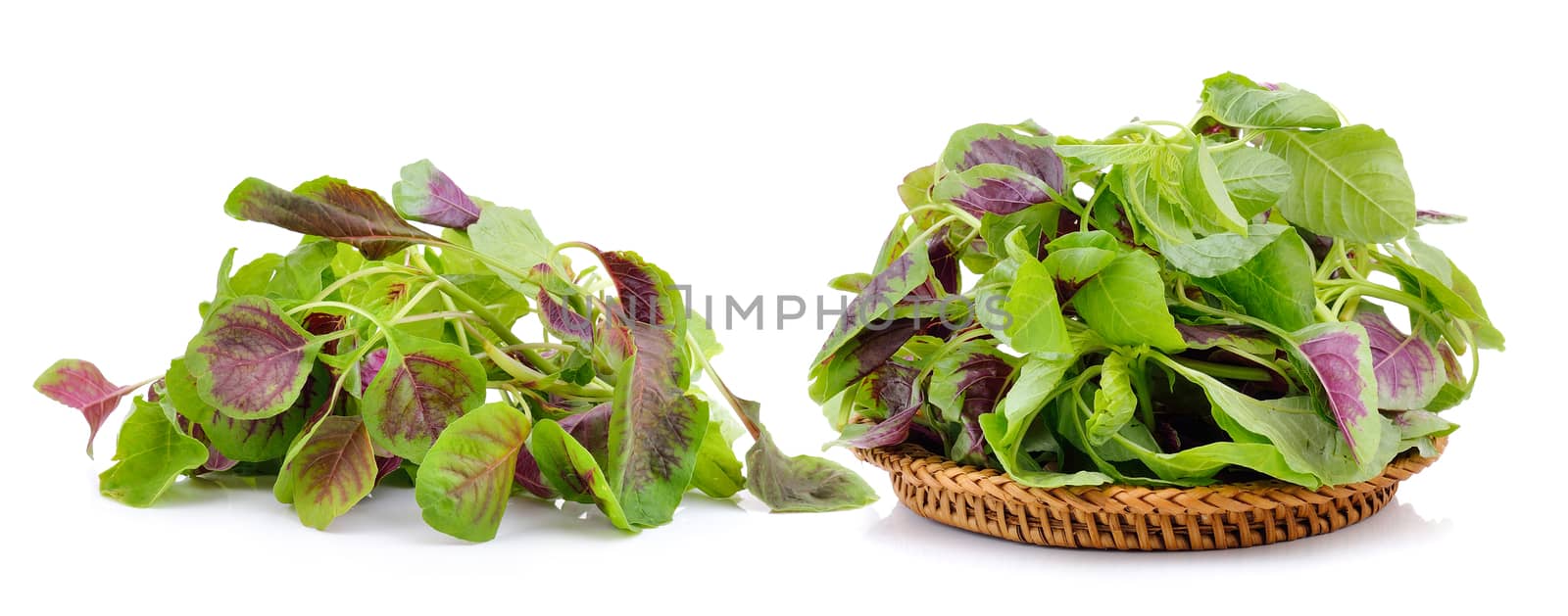 spinach in the basket on white background by sommai