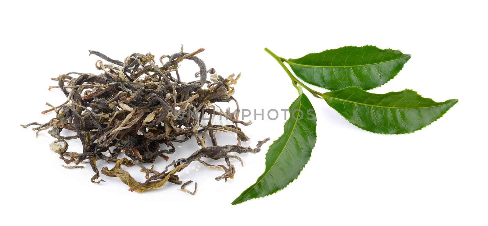 green tea on white background by sommai