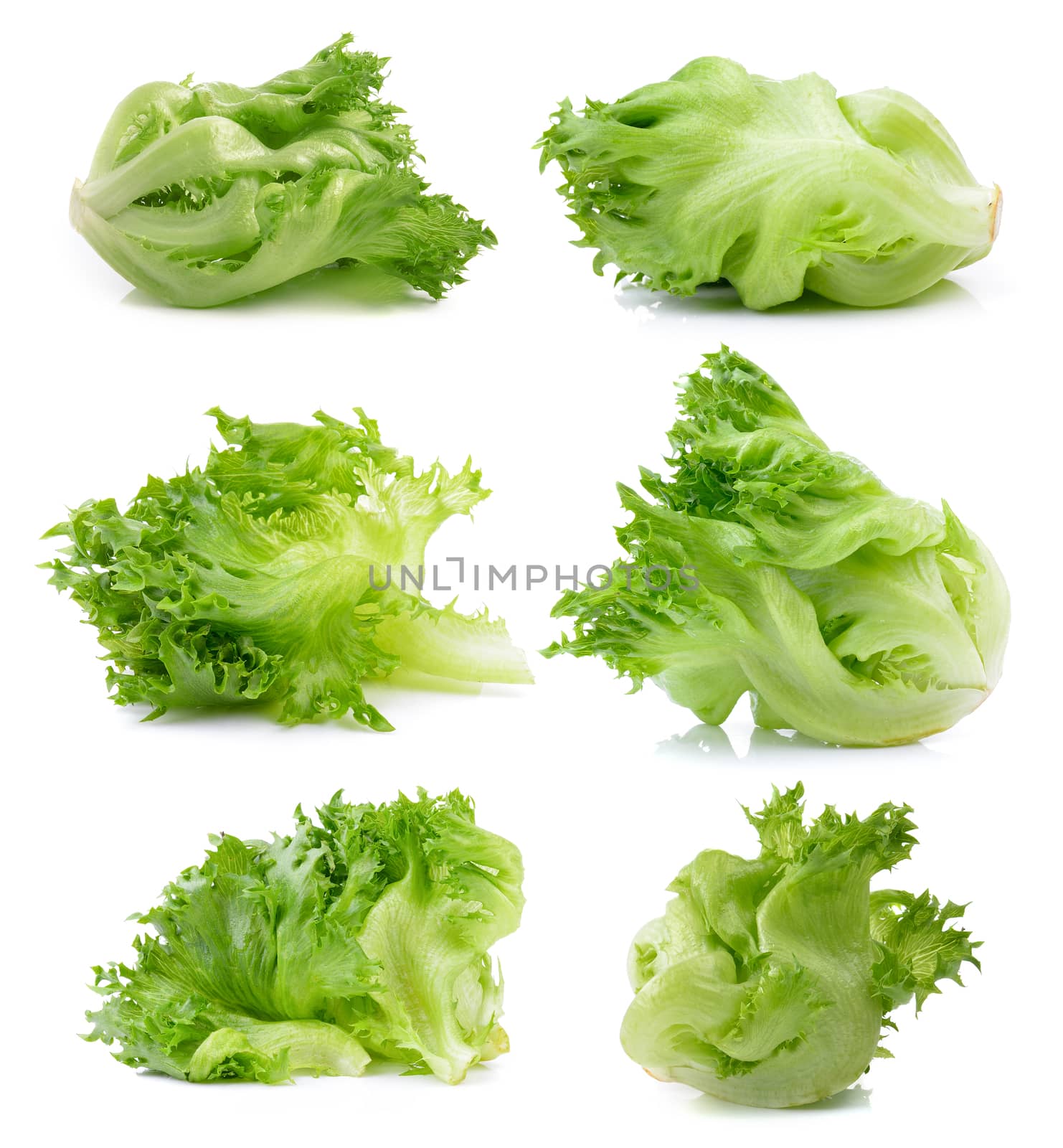 lettuce on white background by sommai