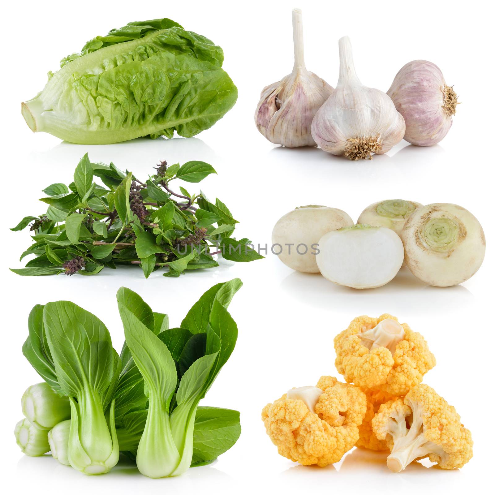 Bok choy, cauliflower, Sweet Basil, white turnips, garlic, baby cos on white background