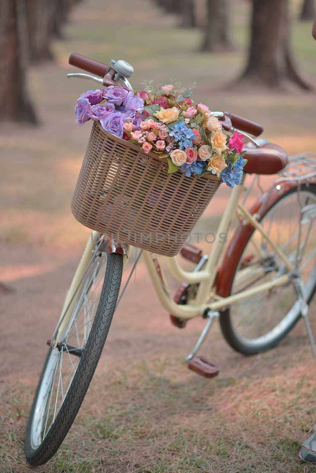 Soft focus flower on a bicycle