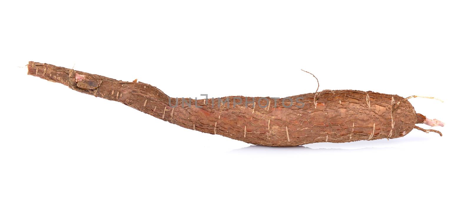 Cassava isolated on a white background