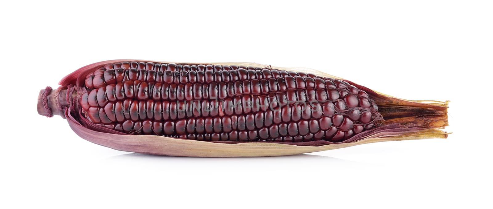 purple corn on white background by sommai
