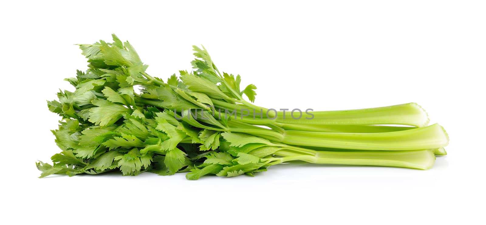 celery on white background by sommai