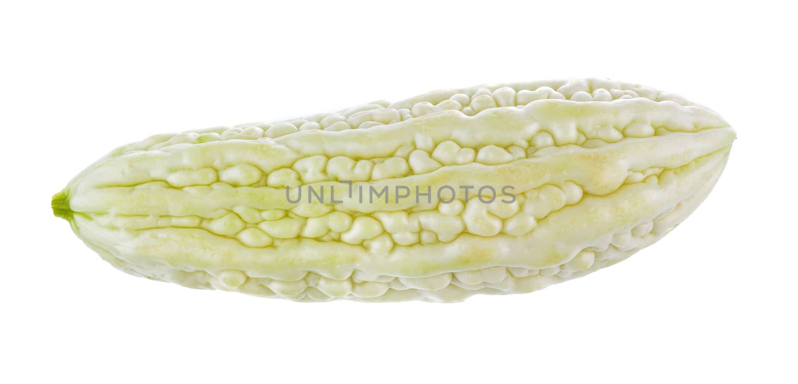 White bitter melon on white background by sommai