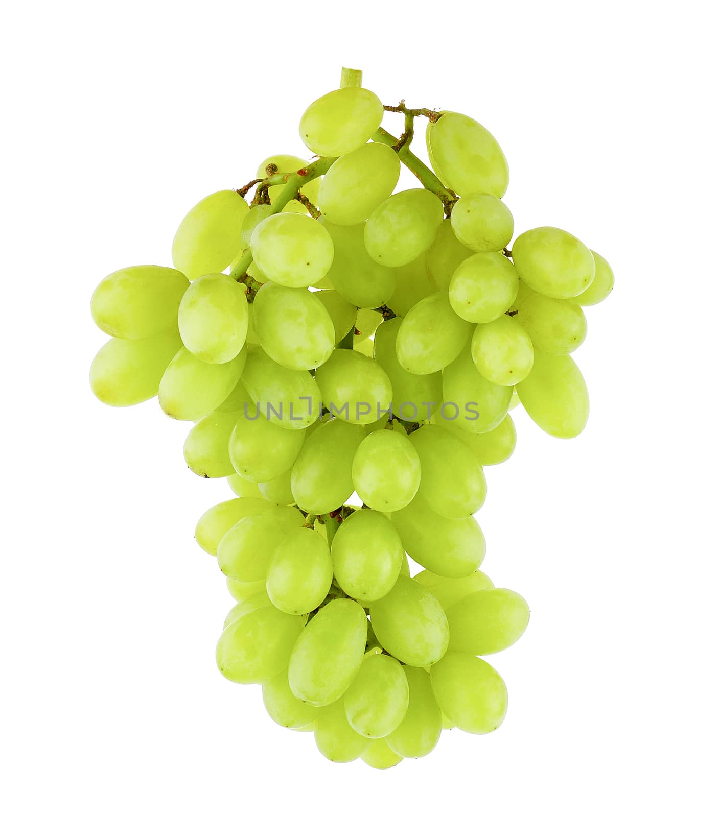 Fresh green grapes Isolated on white background by sommai