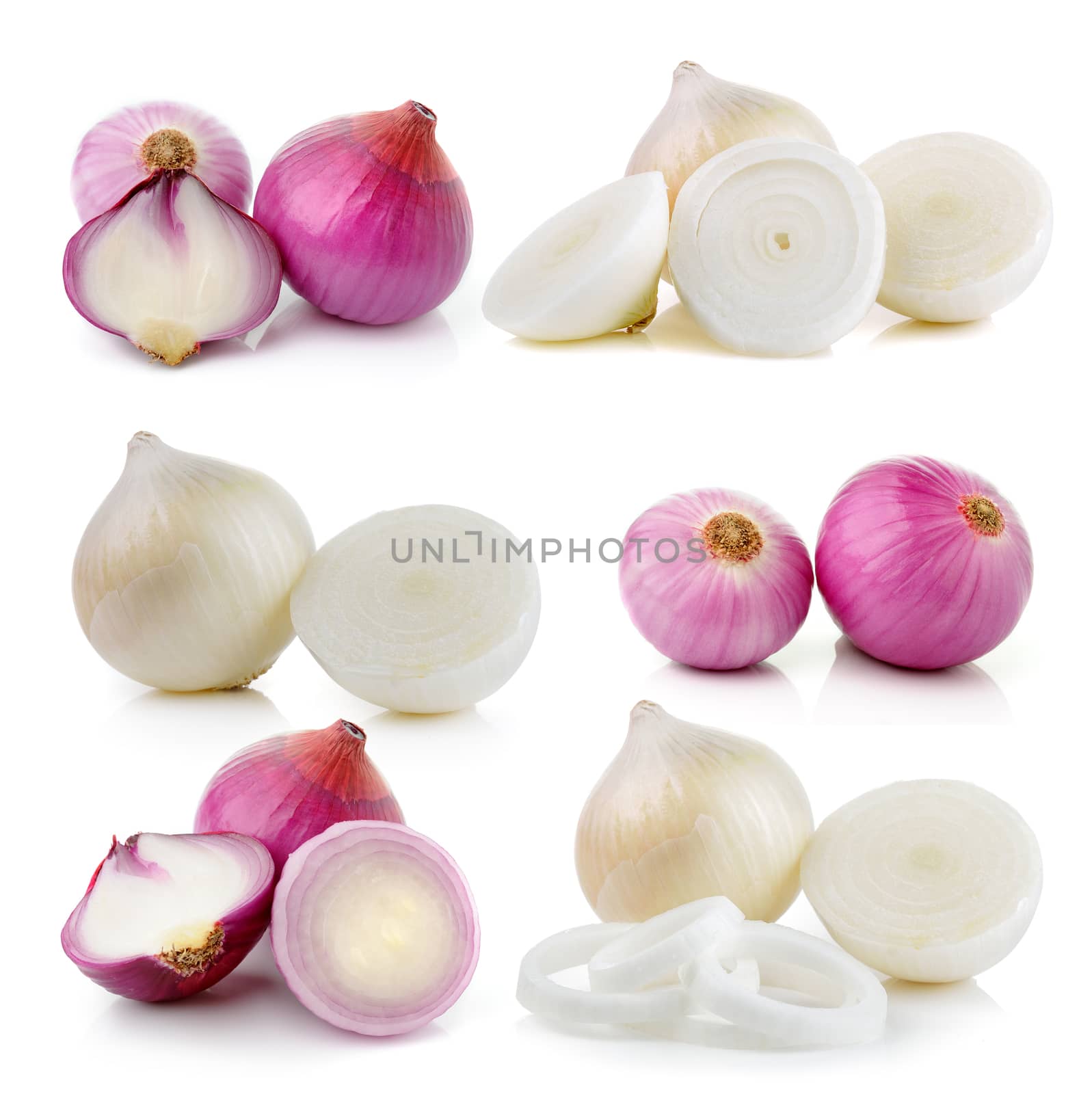 onion on white background by sommai