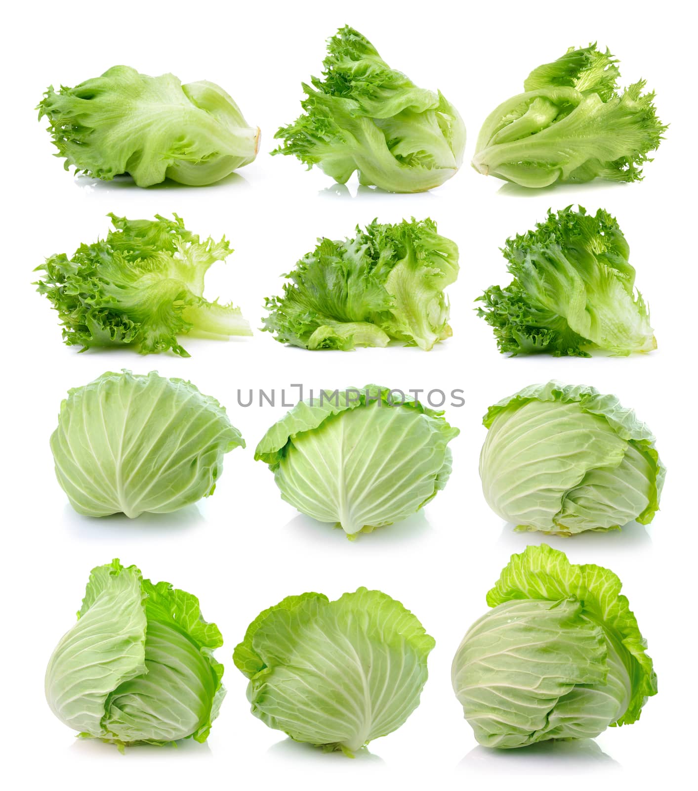 lettuce leaves and cabbage