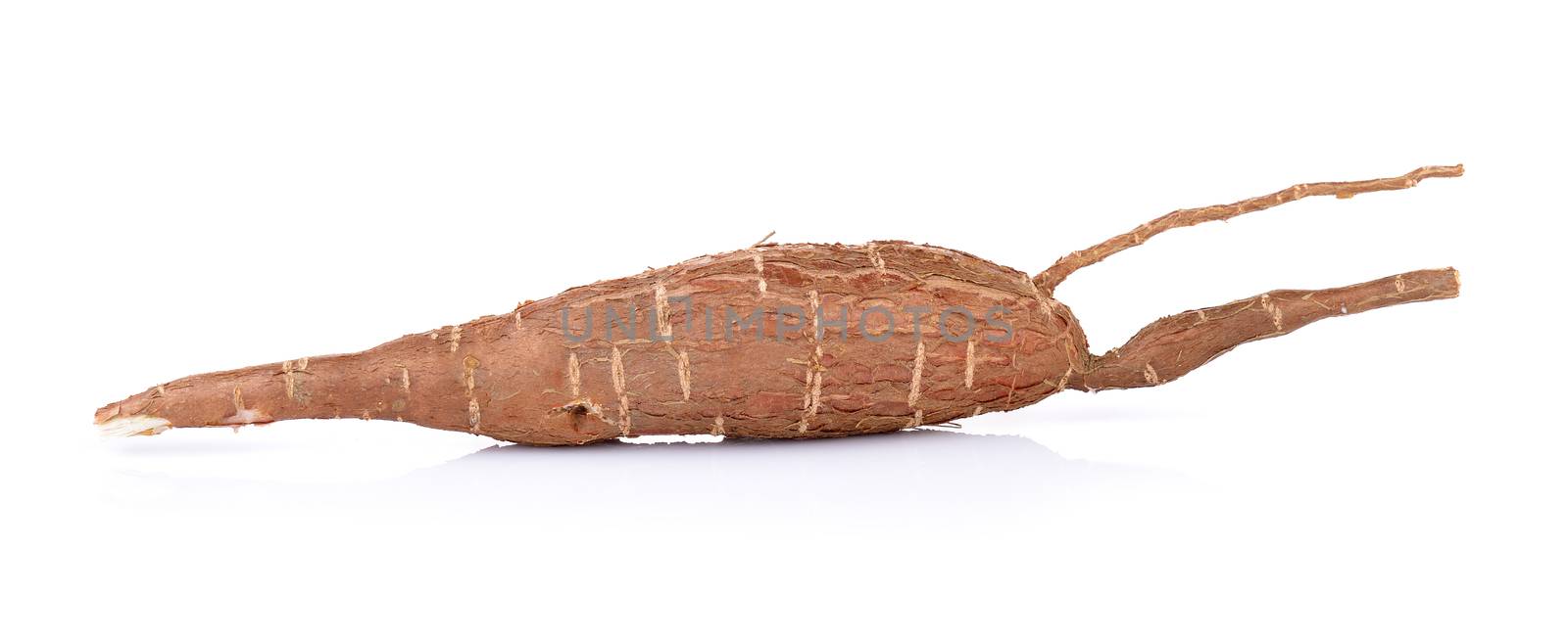 Cassava isolated on a white background by sommai