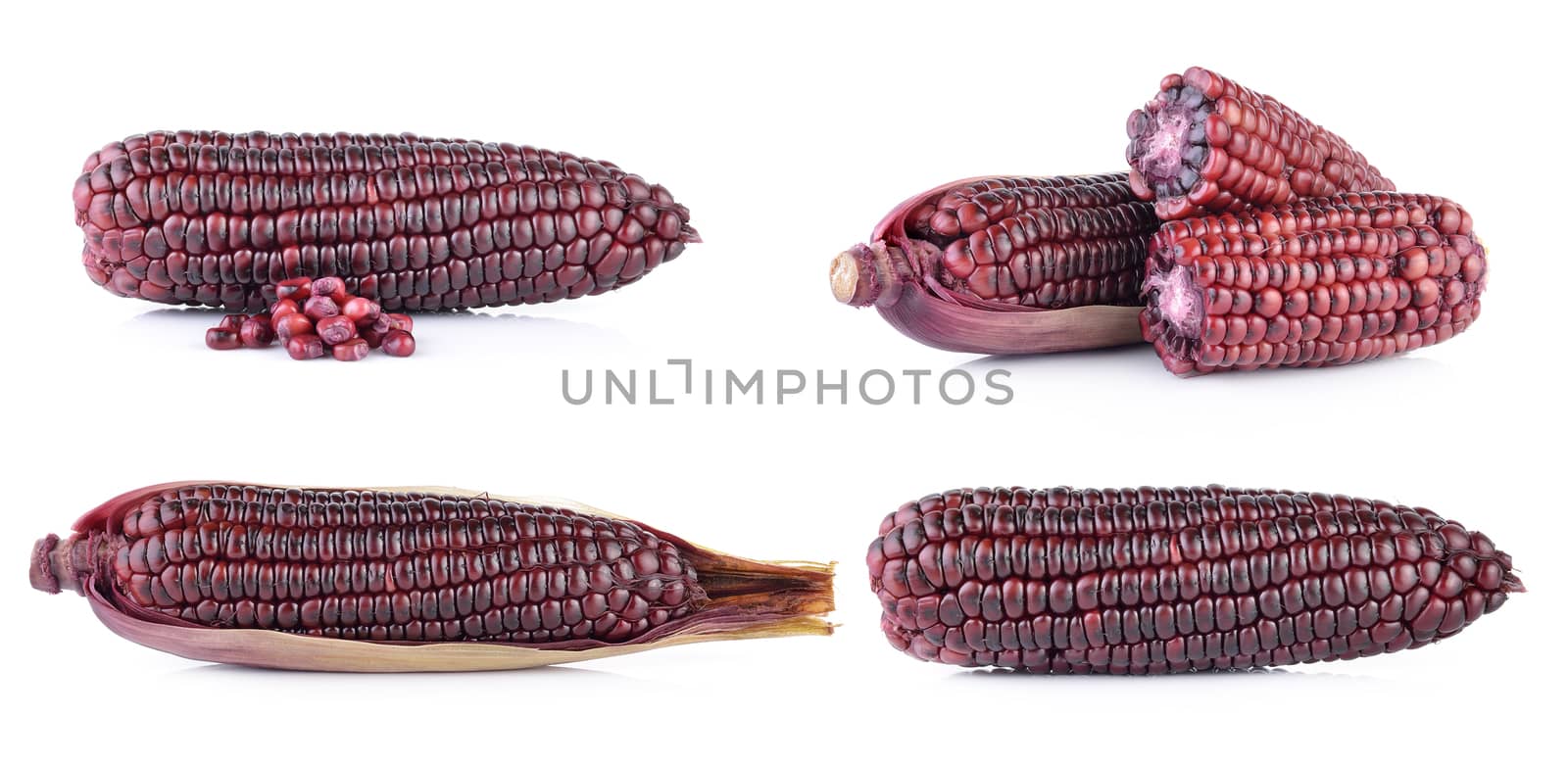 purple corn  by sommai