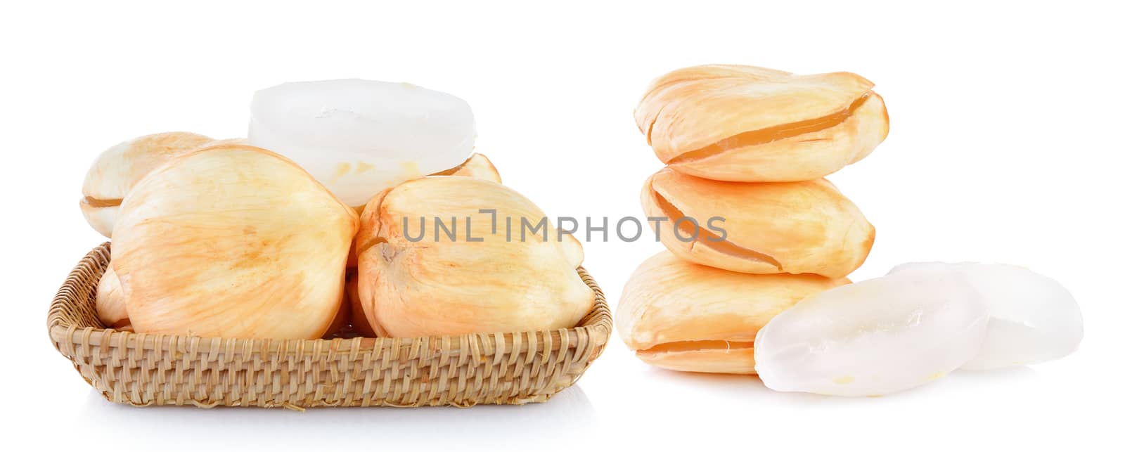 Asian Palmyra palm, Toddy palm, Sugar palm on white background by sommai