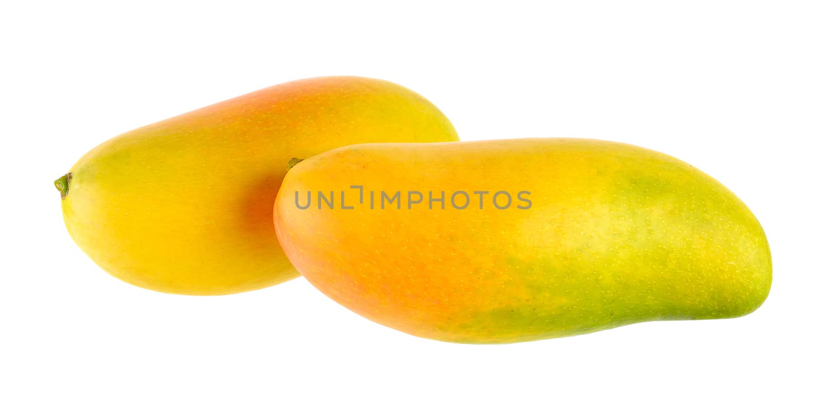 mango isolated on white background by sommai