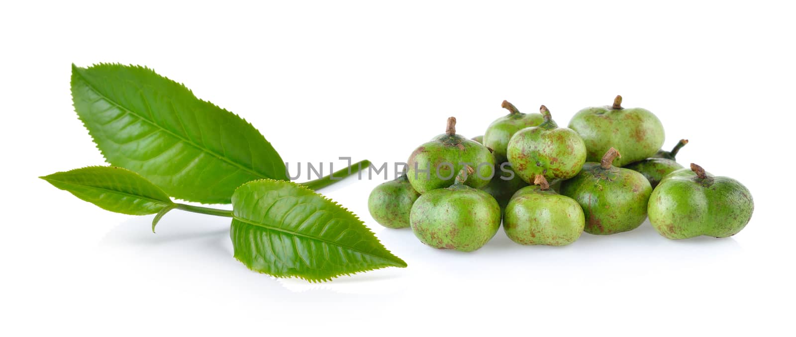 green tea leaf and tea seeds isolated on white background by sommai