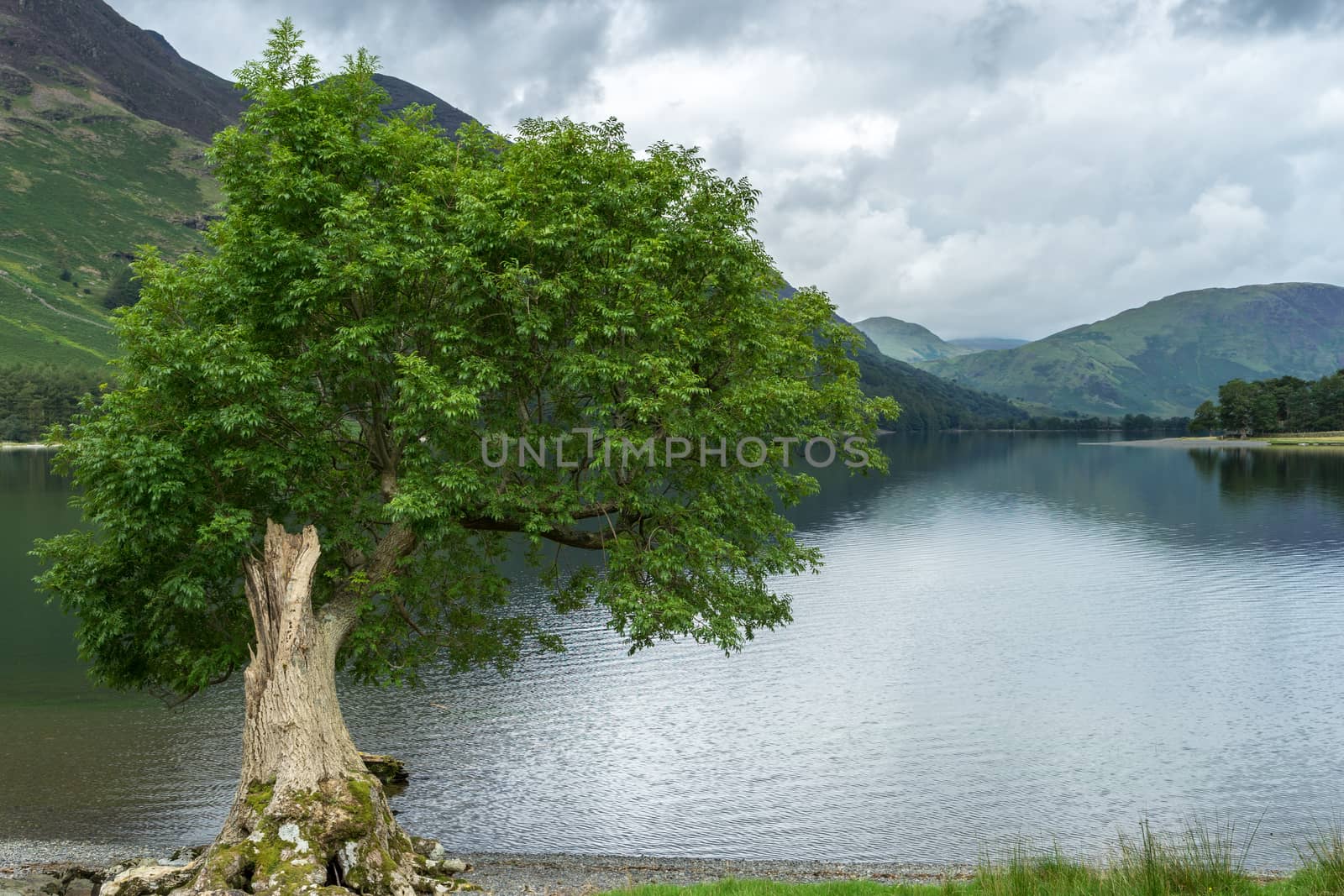 View of Buttermere