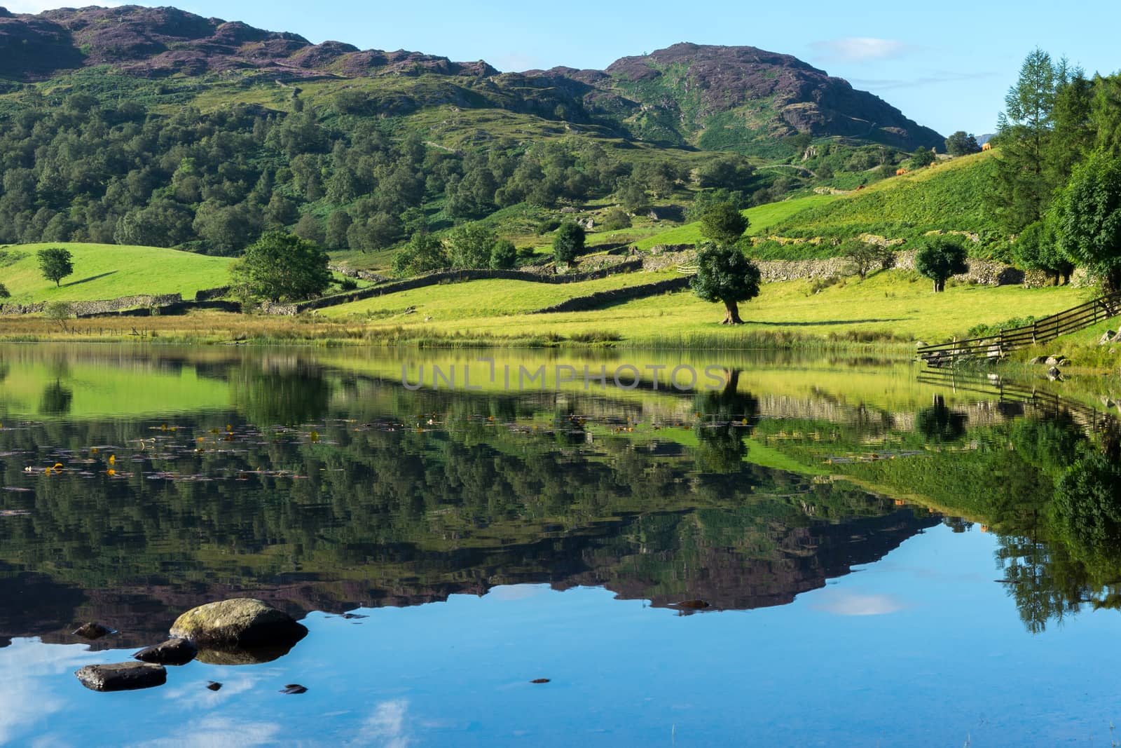 Watendlath Tarn by phil_bird