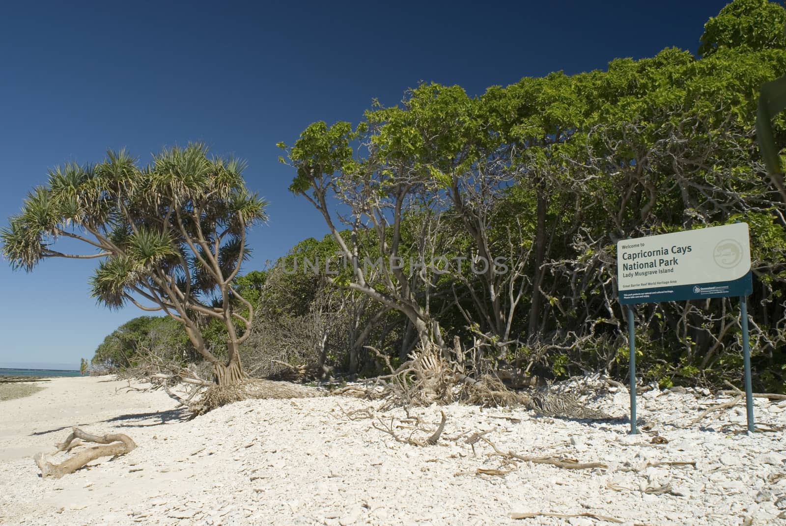 Capricornia Cays Park Sign near trees on beach of Lady Musgrave Barrier Reef island