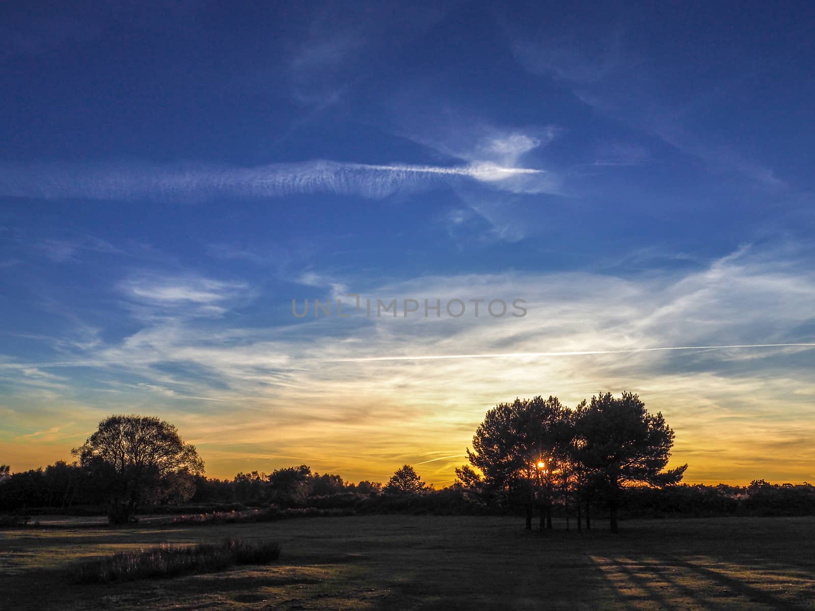 Sunset over the Ashdown Forest in Sussex