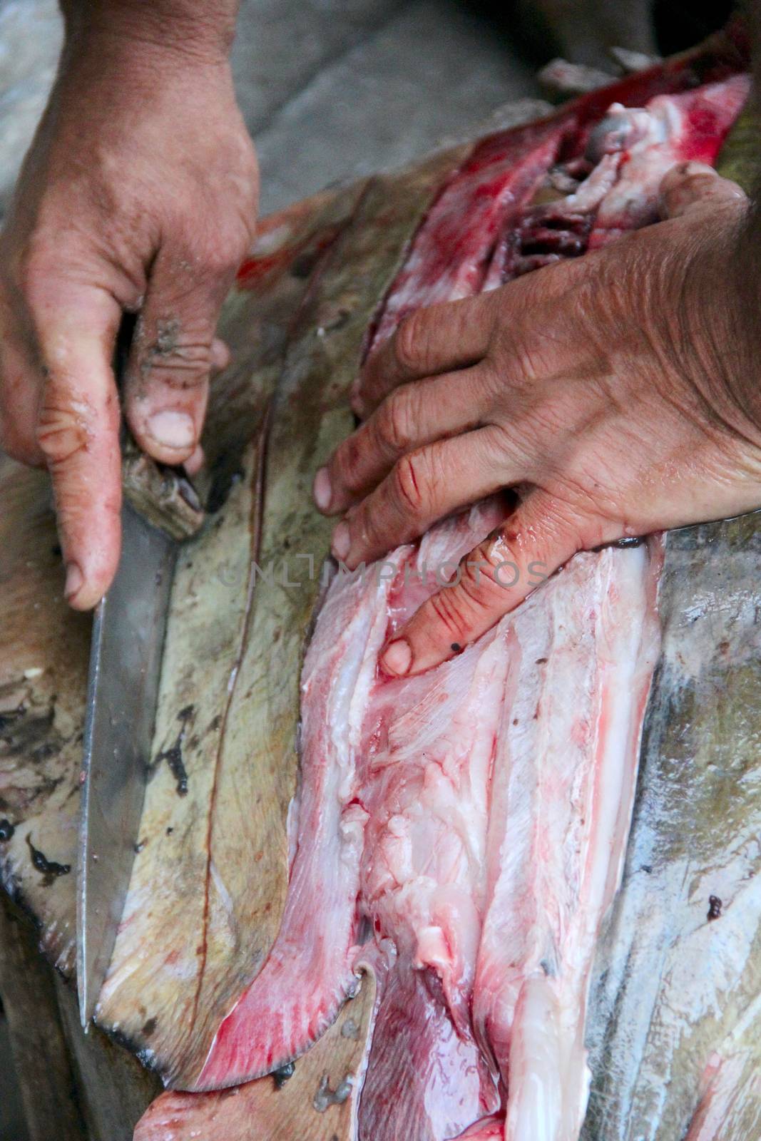 A man is cutting a Fish meat big stingray . photo