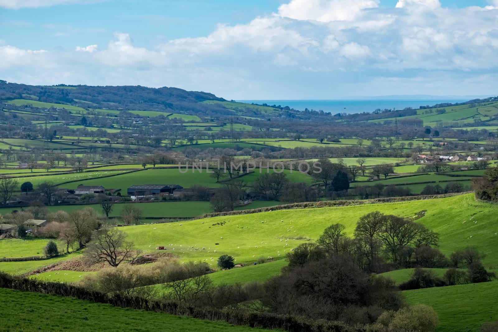 Scenic View of the Undulating Countryside of Somerset