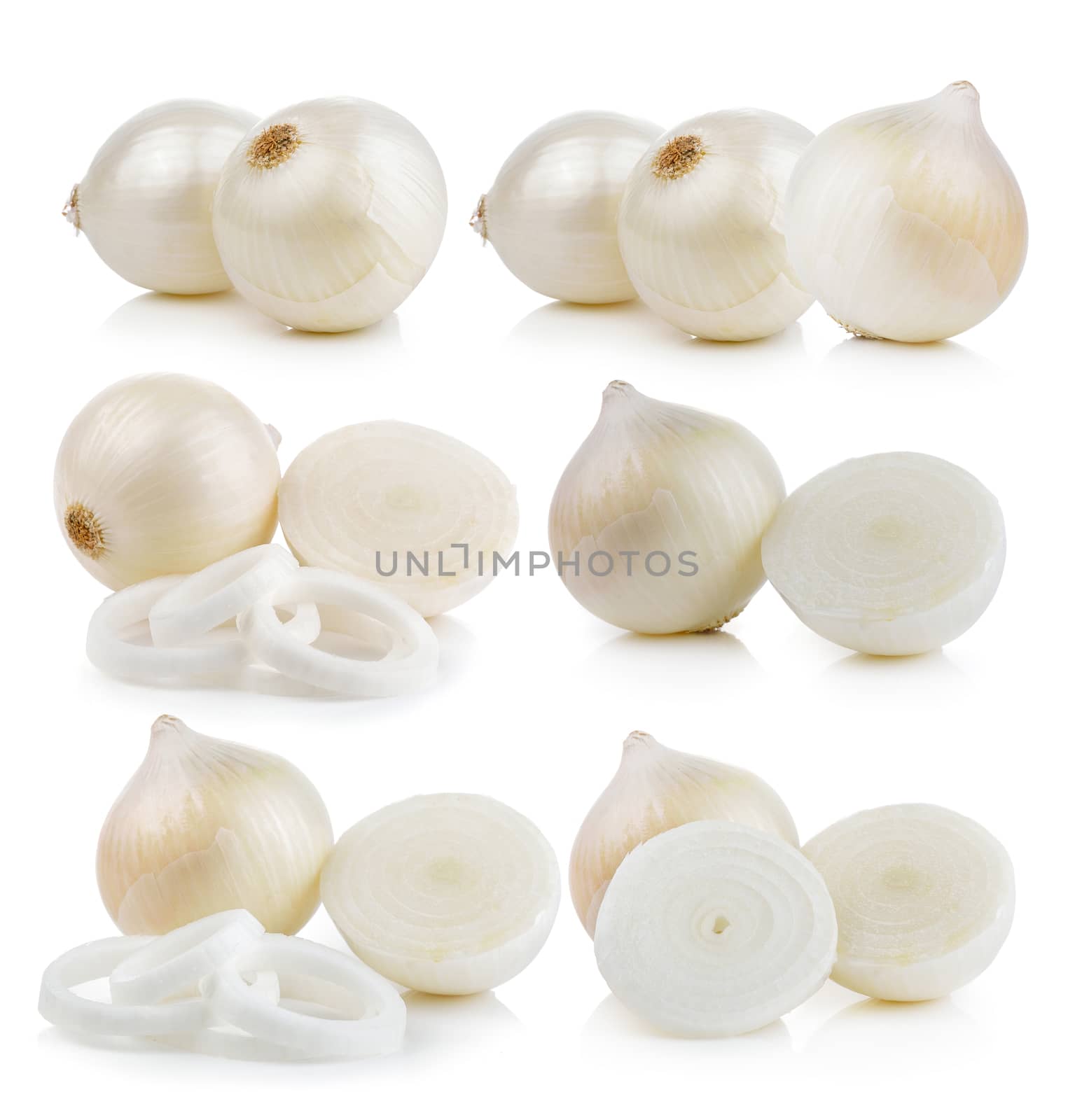white onion on white background by sommai