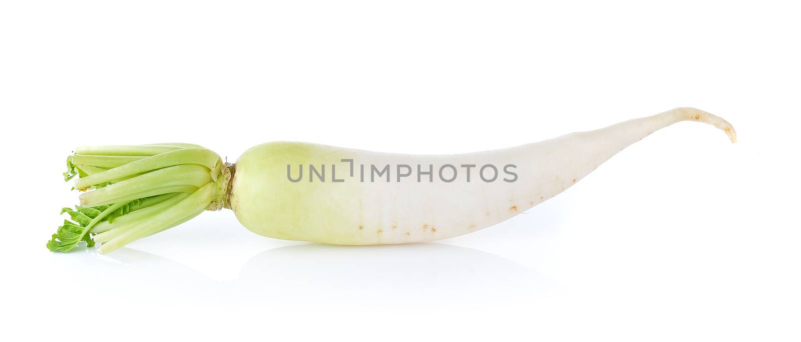 radish on white background