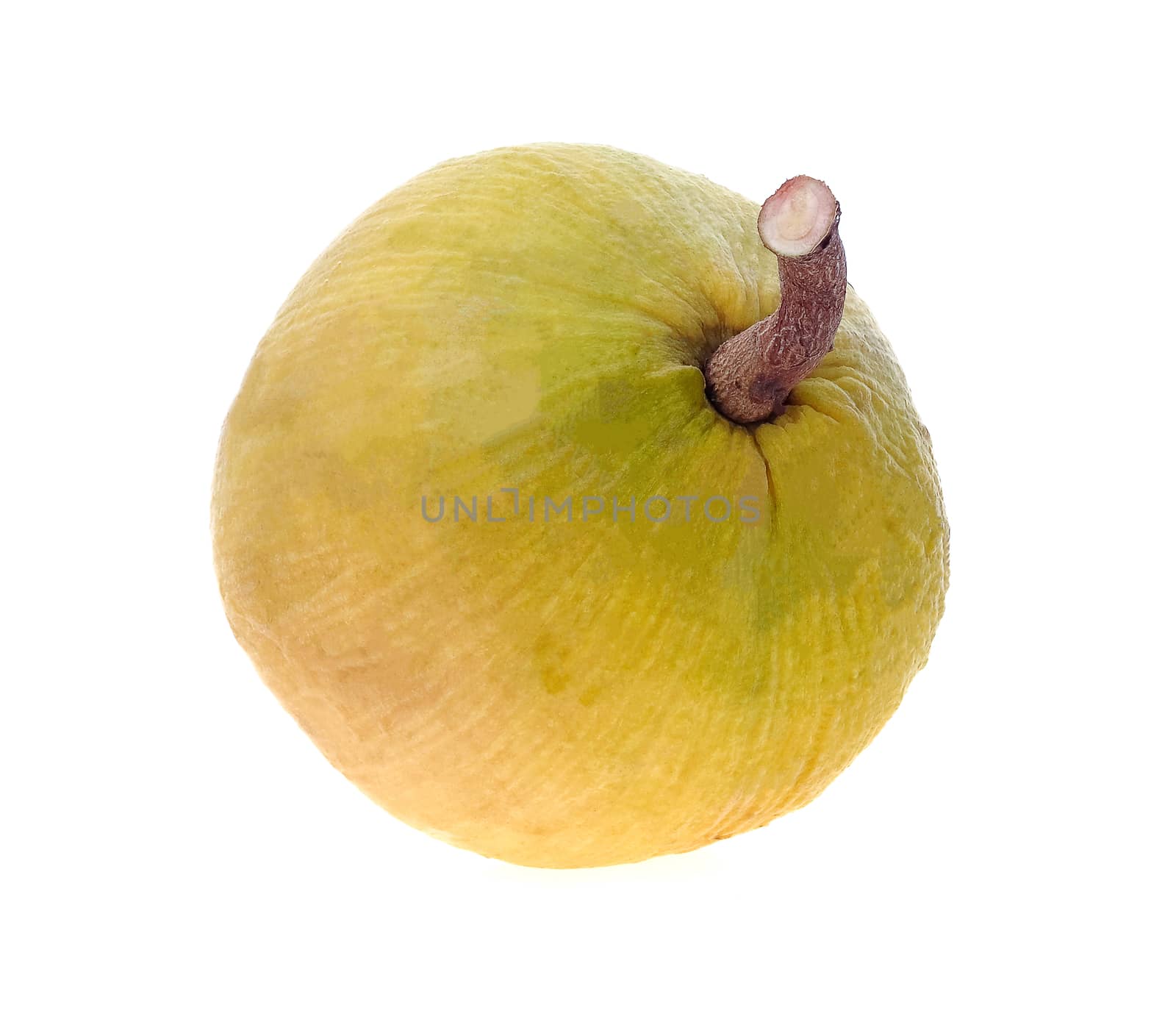 Santol fruit on white background. by poungsaed